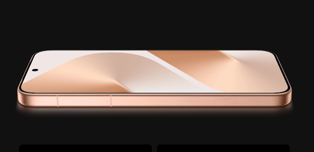 Display Huawei Pura 80